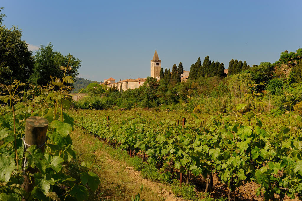 Les Jardins De Saint Benoit By Popinns Экстерьер фото